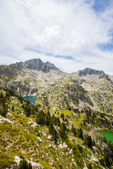 Naklejka premium Summer landscape in Vall de Boi in Aiguestortes and Sant Maurici National Park, Spain