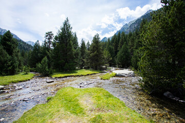 Summer landscape in Vall de Boi in Aiguestortes and Sant Maurici National Park, Spain