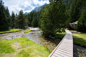 Summer landscape in Vall de Boi in Aiguestortes and Sant Maurici National Park, Spain