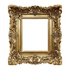 Ornate Gold Picture Frame (1)
