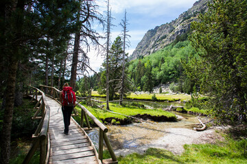 Young hiker woman in Vall de Boi, Aiguestortes and Sant Maurici National Park, Spain