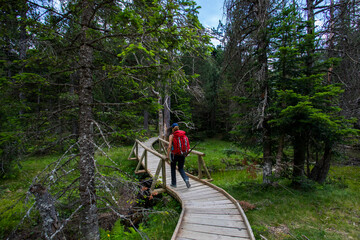 Young hiker woman in Vall de Boi, Aiguestortes and Sant Maurici National Park, Spain