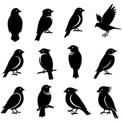 An elegant, high quality editable set of birds forming beautiful circular logos