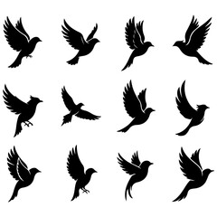 A premium, well editable collection of birds for storytelling and fairytale themes