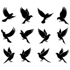 A beautiful and well editable collection of birds for eco-friendly and green branding