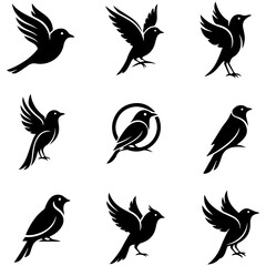 Obraz premium An artistic set of mythological bird creatures like phoenixes in a modern style