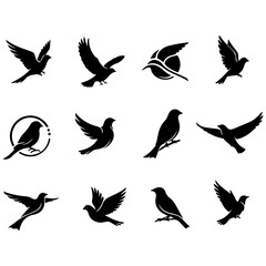 High quality editable set of playful, small birds fluttering around flowers