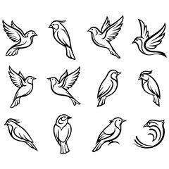 Collection of elegant swimming swan illustrations, a well editable premium design