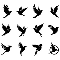 A beautiful and high quality editable set of caring parent birds with their young