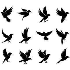 Obraz premium A high quality editable set of beautifully illustrated nesting bird designs