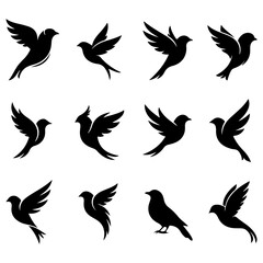 Set of graceful and elegant vectors, a high quality editable design of symbolic birds