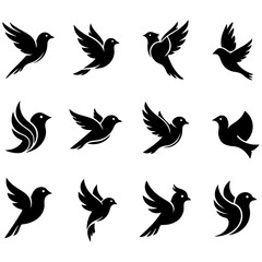 The ultimate collection of premium, modern, and high quality editable bird vector art