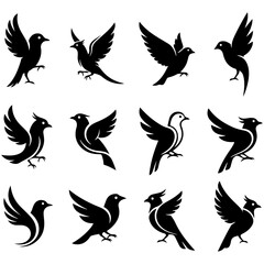 A modern flock of beautifully stylized birds in a well editable vector art collection