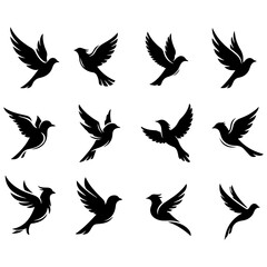 Obraz premium A chic collection of fashionable and stylish bird designs in a well editable format