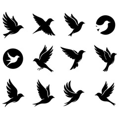 Obraz premium A premium set of fully editable and high quality scalable vector bird graphics