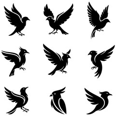 A collection of elegant bird line art, a high quality editable set for branding