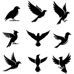 A versatile set of universal bird icons, a well editable design for web and print