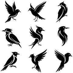 Obraz premium Isolated set of beautiful and artistic, high quality editable vector bird elements