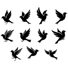 The Stylist's Aviary: a premium, well editable design collection of fashionable birds