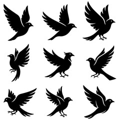 Soaring Silhouettes: a set of minimalist and modern birds, a well editable design