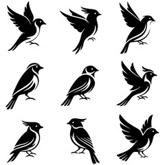 Modern Menagerie: a stylish and artistic set of high quality editable bird illustrations