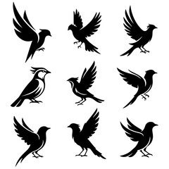 Feathered Forms: an artistic and abstract exploration set of high quality editable vectors