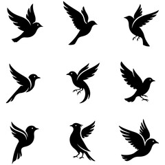 The Gilded Aviary: a premium, well editable collection of elegant gold bird designs