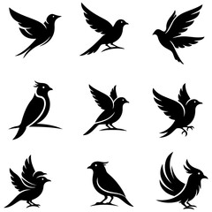 Obraz premium Avian Dreams: a beautiful set of high quality editable artistic bird illustrations