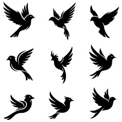 Set of stylish abstract tropical bird illustrations, a well editable and modern design