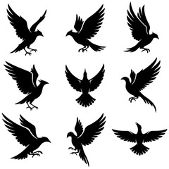 Set of modern minimalist bird icons, a high quality editable design for digital media