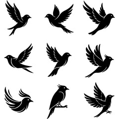 Obraz premium Well editable collection of premium bird illustrations for creating seamless patterns