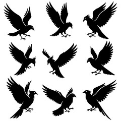 A beautiful and elegant set of high quality editable birds for wellness branding