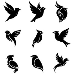 Obraz premium Set of artistic bird illustrations, a high quality editable collection for book covers