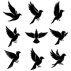 Set of abstract bird art illustrations, a high quality editable design for textiles