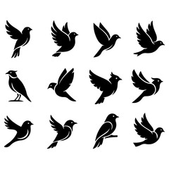 Set of beautifully crafted, high quality editable premium bird vectors for branding