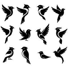 A beautiful and well editable collection of premium bird illustrations for packaging