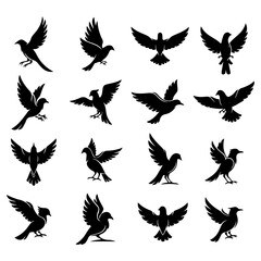 Fototapeta premium Set of premium, high quality editable bird vector designs for luxury brand identity
