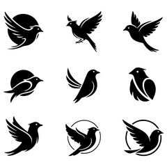 A set of modern, minimalist bird illustrations, a well editable Scandinavian-inspired design