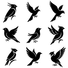 A collection of clean and modern bird graphics in a well editable vector style