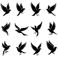 Set of stylish, modern bird silhouettes, a high quality editable design collection