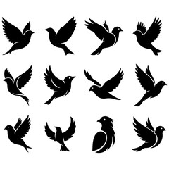 Obraz premium Stylish set of high quality modern minimalist vector designs of birds