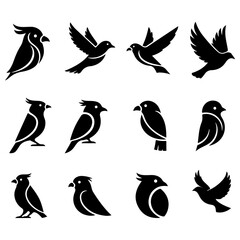 A beautiful set of high quality editable vector bird designs for branding