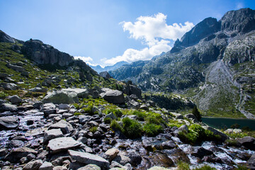 Summer landscape in Vall de Boi in Aiguestortes and Sant Maurici National Park, Spain