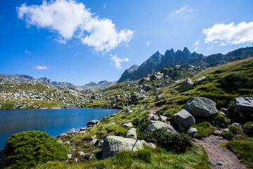 Summer landscape in Vall de Boi in Aiguestortes and Sant Maurici National Park, Spain
