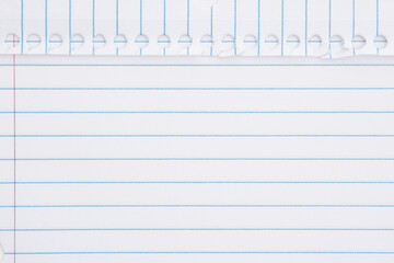 Ruled loose leaf paper background
