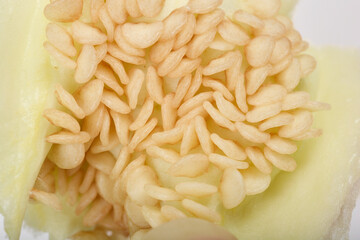 Detailed close-up shot captures the numerous pale seeds inside a sliced bell pepper, revealing its internal structure