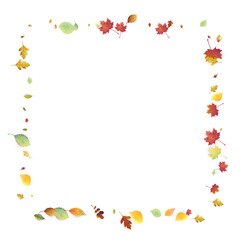 Leaves Falling Autumn Foliage Chaotic Leaf Flying