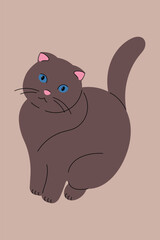 Lop-eared cat of chocolate color. Beautiful plump domestic pet sitting, pink nose, blue eyes. Vector flat illustration