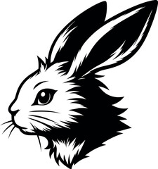 rabbit head in Monochrome