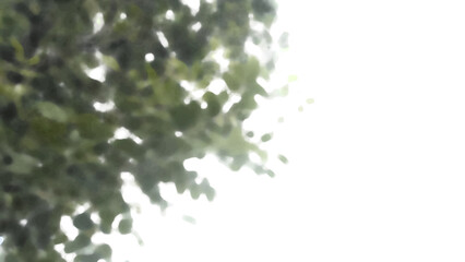 Shadow overlay, Abstract digital nature graphic with green and yellow overlay creating fluid form. deep shadow background gives sense of mysterious and dynamic energy